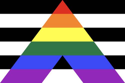 LGBTQIA Ally Flag